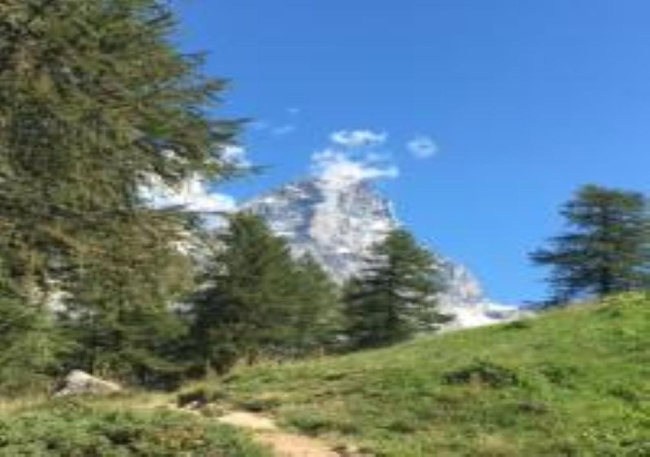 Casa Cervinia Shuss 2 Apartment เบรยล์-แชร์วิเนีย ภายนอก รูปภาพ